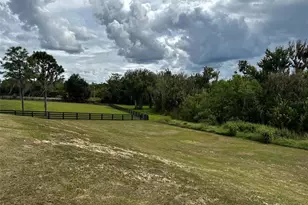 17710 Palm View Cir, Mount Dora, FL 32757 - Photo 69