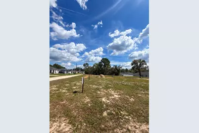 Tbd SW 125th Lane, Belleview, FL 34420 - Photo 3