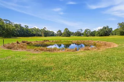 29025 SE 150th Street, Altoona, FL 32702 - Photo 59