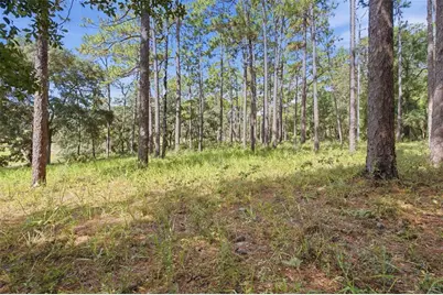 29025 SE 150th Street, Altoona, FL 32702 - Photo 57