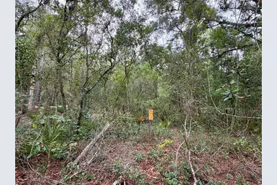 29025 SE 150th Street, Altoona, FL 32702 - Photo 73