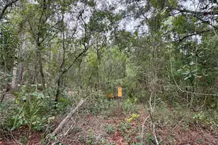 29025 SE 150th St, Altoona, FL 32702 - Photo 73