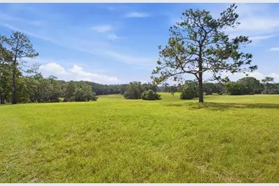 29025 SE 150th Street, Altoona, FL 32702 - Photo 55