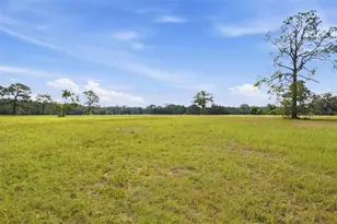 29025 SE 150th St, Altoona, FL 32702 - Photo 53