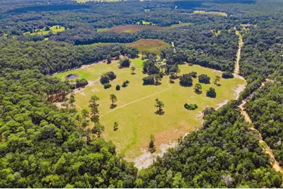 29025 SE 150th Street, Altoona, FL 32702 - Photo 67