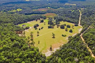 29025 SE 150th St, Altoona, FL 32702 - Photo 67