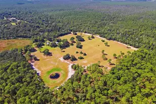29025 SE 150th St, Altoona, FL 32702 - Photo 69