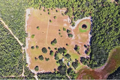 29025 SE 150th Street, Altoona, FL 32702 - Photo 11