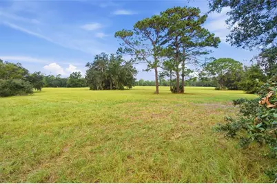 29025 SE 150th Street, Altoona, FL 32702 - Photo 5