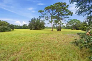 29025 SE 150th St, Altoona, FL 32702 - Photo 5