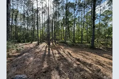 510 Hidden Palms Drive, Davenport, FL 33897 - Photo 5