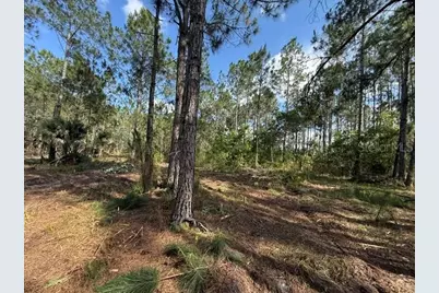 510 Hidden Palms Drive, Davenport, FL 33897 - Photo 7