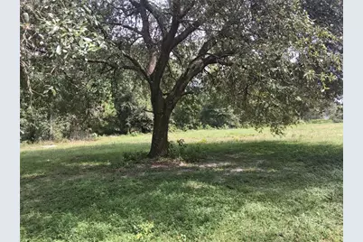 9278 Cr 734, Center Hill, FL 33514 - Photo 3