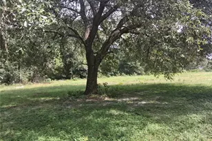 9278 Cr 734, Center Hill, FL 33514 - Photo 3