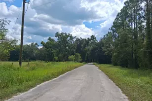 9278 Cr 734, Center Hill, FL 33514 - Photo 11