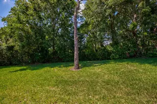 3005 Andover Ct, Mount Dora, FL 32757 - Photo 21