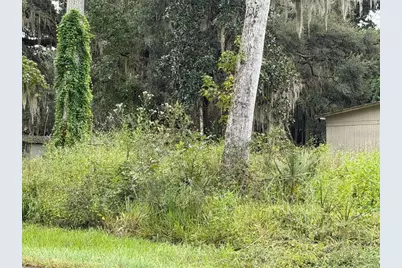 County Road 426E, Lake Panasoffkee, FL 33538 - Photo 3