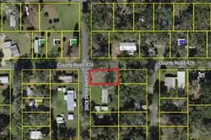 County Road 426E, Lake Panasoffkee, FL 33538 - Photo 1