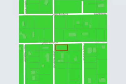 County Road 426E, Lake Panasoffkee, FL 33538 - Photo 5