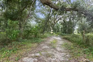 935 Cr 738E, Webster, FL 33597 - Photo 5