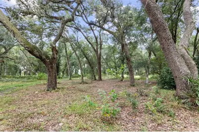 935 Cr 738E, Webster, FL 33597 - Photo 13