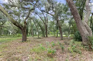 935 Cr 738E, Webster, FL 33597 - Photo 13