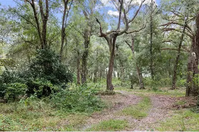 935 Cr 738E, Webster, FL 33597 - Photo 7