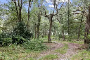 935 Cr 738E, Webster, FL 33597 - Photo 7