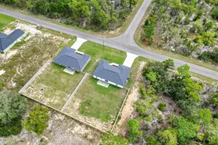37 Guava Ter Radial, Ocklawaha, FL 32179 - Photo 33