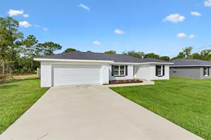 37 Guava Ter Radial, Ocklawaha, FL 32179 - Photo 23