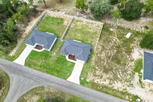 35 Guava Ter Radial, Ocklawaha, FL 32179 - Photo 31