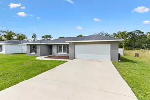 35 Guava Ter Radial, Ocklawaha, FL 32179 - Photo 21