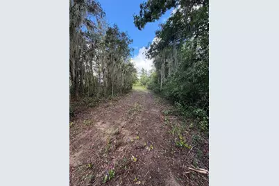 W Lake Yale Road, Umatilla, FL 32784 - Photo 13