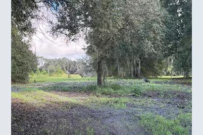 W Lake Yale Road, Umatilla, FL 32784 - Photo 11