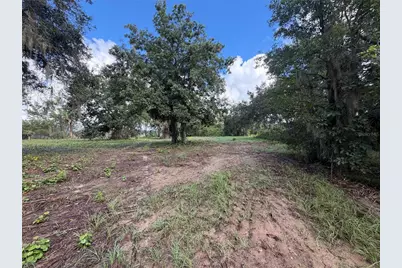 W Lake Yale Road, Umatilla, FL 32784 - Photo 7