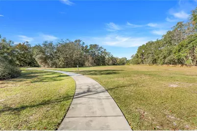 3892 Fescue Street, Clermont, FL 34714 - Photo 35
