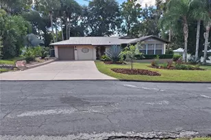 456 W 10th Ave, Mount Dora, FL 32757 - Photo 1