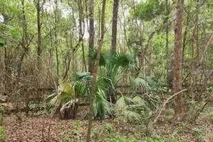 15363 SE 156th Place Rd, Weirsdale, FL 32195 - Photo 1