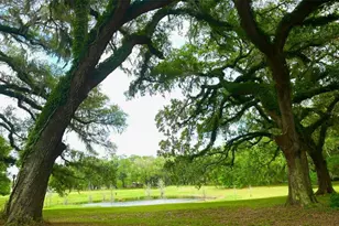 2531 Cr 546A, Bushnell, FL 33513 - Photo 21