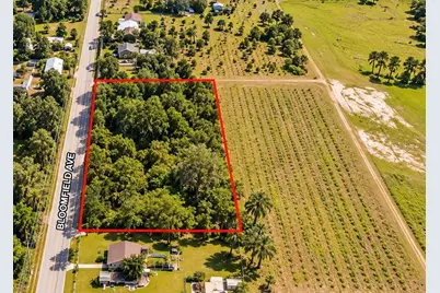 26714 Bloomfield Avenue, Yalaha, FL 34797 - Photo 1