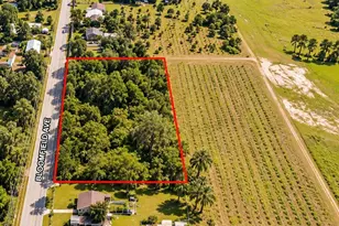 26714 Bloomfield Ave, Yalaha, FL 34797 - Photo 1