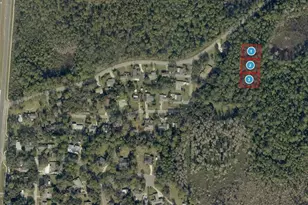 Pine Meadows Rd, Eustis, FL 32736 - Photo 1