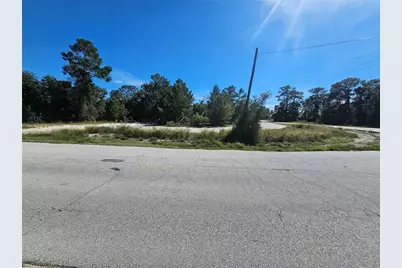 Northern Avenue, Leesburg, FL 34788 - Photo 3