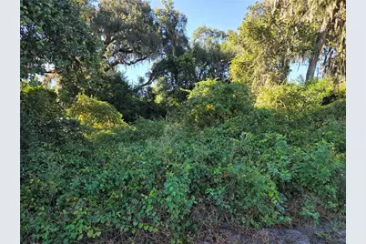 6605 SE 55th Avenue, Center Hill, FL 33514 - Photo 5