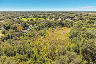1706 Orkney Dr, Leesburg, FL 34788 - Photo 55