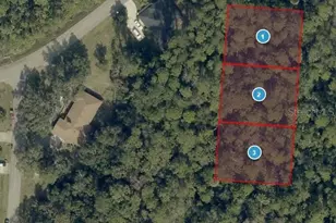 Pine Meadows Rd, Eustis, FL 32736 - Photo 1