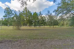 2557 Cr 674A, Bushnell, FL 33513 - Photo 5