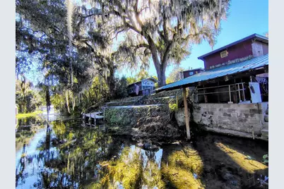 766 Cr 485A, Lake Panasoffkee, FL 33538 - Photo 5