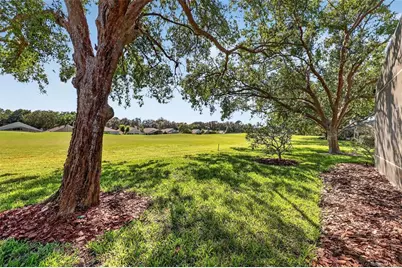 3032 Andover Court, Mount Dora, FL 32757 - Photo 29