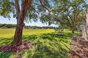 3032 Andover Ct, Mount Dora, FL 32757 - Photo 29